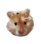 キンクマのきなこちゃんと仲間たち（個別スタンプ：39）