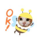 レインボーwhoにゃん（個別スタンプ：4）