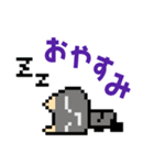 どこでもいっしょ ドット絵シリーズ（個別スタンプ：13）