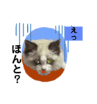 猫ちゃんの日常癒される毎日♯3（個別スタンプ：2）