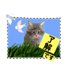 猫ちゃんの日常癒される毎日♯3（個別スタンプ：4）