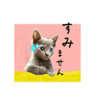 猫ちゃんの日常癒される毎日♯3（個別スタンプ：6）