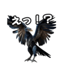 ⚫始祖鳥 ミクロラプトル（個別スタンプ：3）