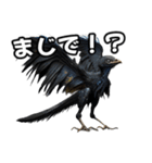 ⚫始祖鳥 ミクロラプトル（個別スタンプ：4）