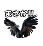 ⚫始祖鳥 ミクロラプトル（個別スタンプ：15）