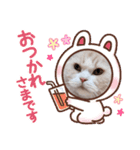 ラガマフィンの風太くん その2（個別スタンプ：2）