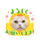ラガマフィンの風太くん その2（個別スタンプ：6）