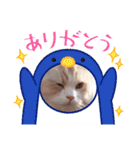 ラガマフィンの風太くん その2（個別スタンプ：8）