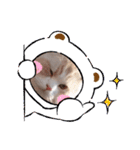 ラガマフィンの風太くん その2（個別スタンプ：12）