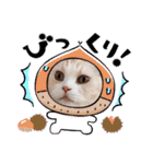 ラガマフィンの風太くん その2（個別スタンプ：14）