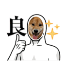柴犬 山口ぽん太0719（個別スタンプ：13）