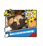柴犬 山口ぽん太0719（個別スタンプ：24）