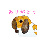 色んなうさぎと動物たち♪手書きです☆（個別スタンプ：3）