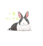 色んなうさぎと動物たち♪手書きです☆（個別スタンプ：4）
