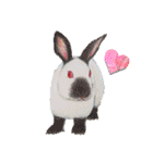 色んなうさぎと動物たち♪手書きです☆（個別スタンプ：14）