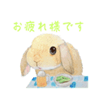色んなうさぎと動物たち♪手書きです☆（個別スタンプ：15）