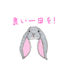 色んなうさぎと動物たち♪手書きです☆（個別スタンプ：20）