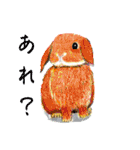 色んなうさぎと動物たち♪手書きです☆（個別スタンプ：33）