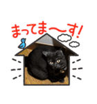 リューク＆ルナ 4（個別スタンプ：13）