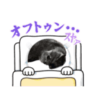 リューク＆ルナ 4（個別スタンプ：16）