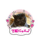 リューク＆ルナ 4（個別スタンプ：19）