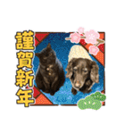 リューク＆ルナ 4（個別スタンプ：21）