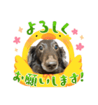 リューク＆ルナ 4（個別スタンプ：37）