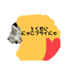 実家くぅー（個別スタンプ：2）