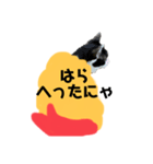 実家くぅー（個別スタンプ：3）