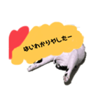 実家くぅー（個別スタンプ：5）