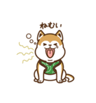 しんたろう＆あやこスタンプ（個別スタンプ：30）