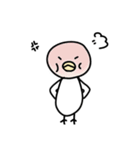 鳥鳥三昧（個別スタンプ：19）