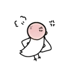 鳥鳥三昧（個別スタンプ：20）
