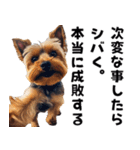 THE DOG（おしゃべり）（個別スタンプ：2）