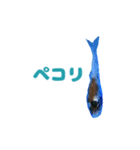 ニシキゴイスタンプ（個別スタンプ：4）