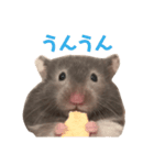 ゴールデンハムスターのふじちゃんスタンプ（個別スタンプ：3）