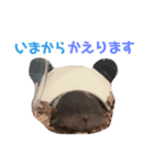 ゴールデンハムスターのふじちゃんスタンプ（個別スタンプ：14）