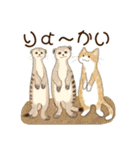 ねこなで(動物スタンプ)（個別スタンプ：13）