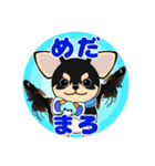 めだまろ <FAMILY.ties.M>（個別スタンプ：1）
