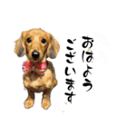 めだまろ <FAMILY.ties.M>（個別スタンプ：5）