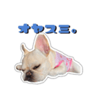 アロちゃんの挨拶スタンプ（個別スタンプ：25）