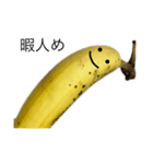 instigate banana（個別スタンプ：1）
