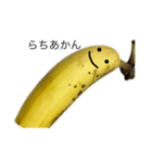 instigate banana（個別スタンプ：10）
