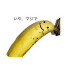 instigate banana（個別スタンプ：11）