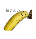 instigate banana（個別スタンプ：13）