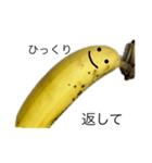 instigate banana（個別スタンプ：14）