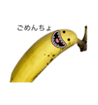 instigate banana（個別スタンプ：16）