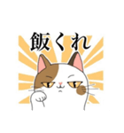 脱力系三毛猫の自由な日常（個別スタンプ：1）