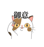 脱力系三毛猫の自由な日常（個別スタンプ：2）