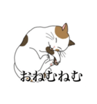 脱力系三毛猫の自由な日常（個別スタンプ：5）